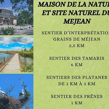 Apartamento Studio Moderne Piscine Proche Plages Pérols